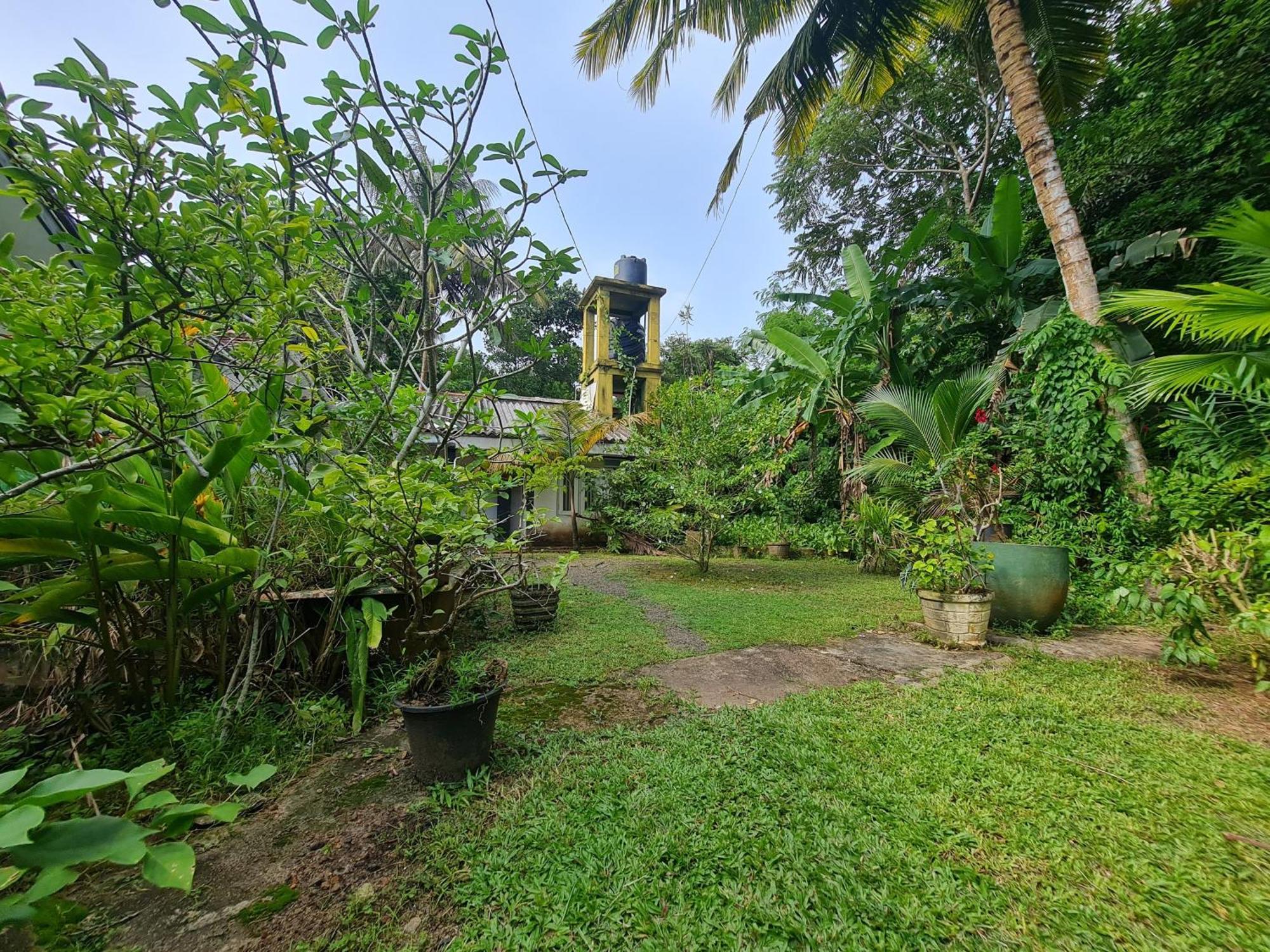Hill Side Kings Villa Хикадува Екстериор снимка