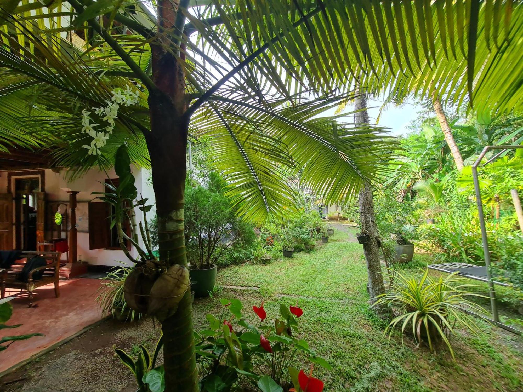 Hill Side Kings Villa Хикадува Екстериор снимка