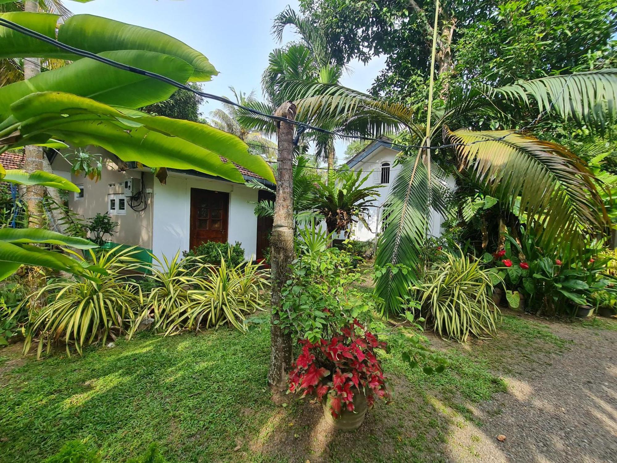 Hill Side Kings Villa Хикадува Екстериор снимка